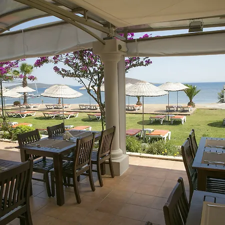Bodrum Sea Side Club Hotel Ortakent