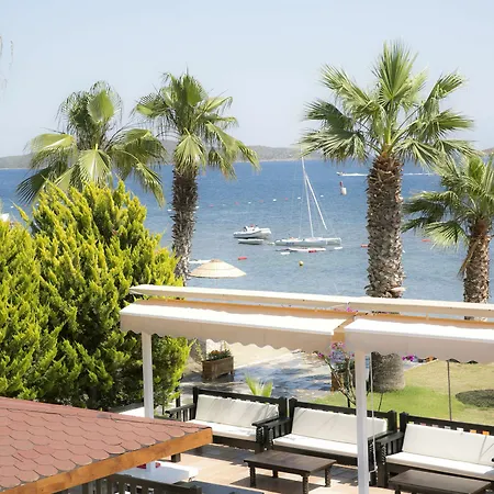 Bodrum Sea Side Club * Ortakent