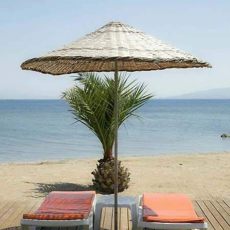 Bodrum Sea Side Club * Ortakent
